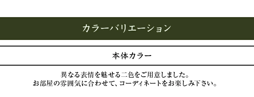 カラーバリエーション、本体カラー