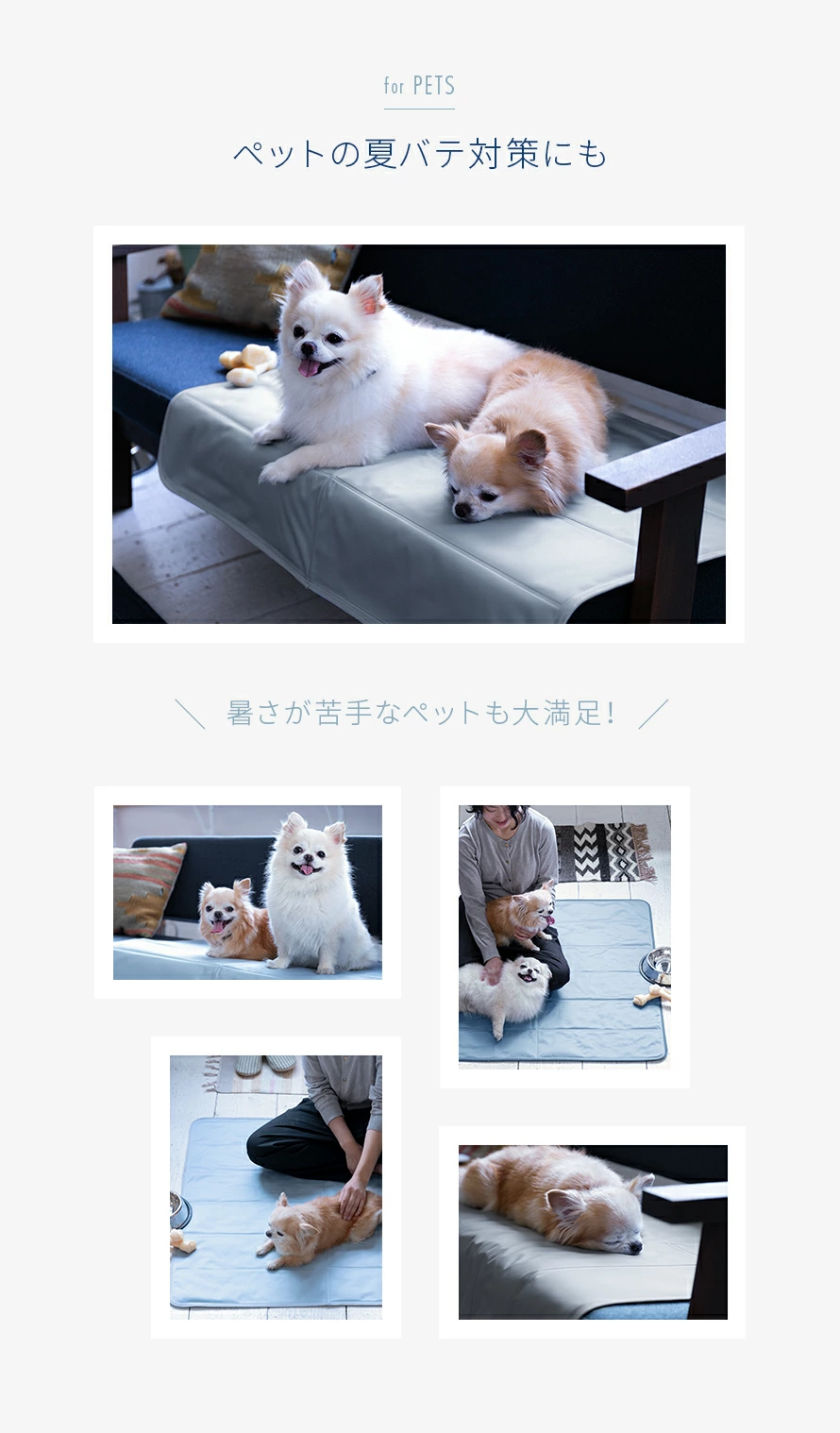 ペットの夏バテ対策にも