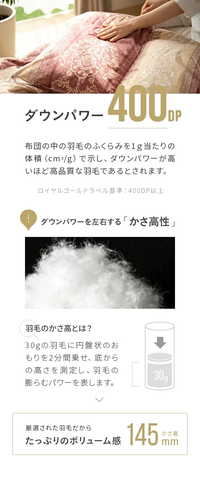 ダウンパワー400DP