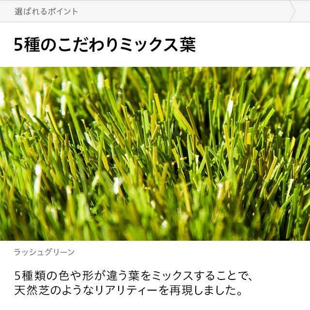 リアル人工芝 プレミアム 5葉MIX・質感をさらに追求 芝丈38mm 2×10m