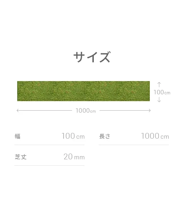 サイズ