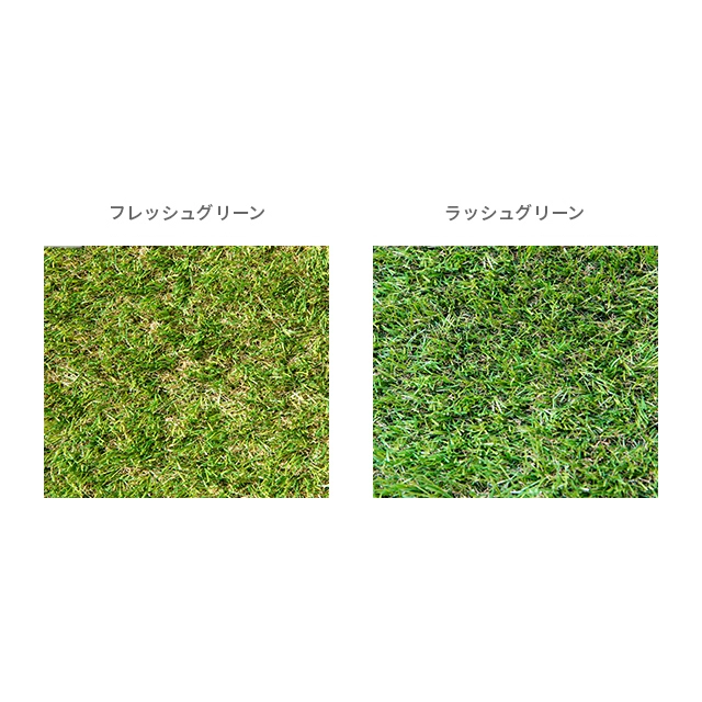 リアル人工芝 超高密度ハイグレード 高耐久タイプ・質感追求 芝丈20mm