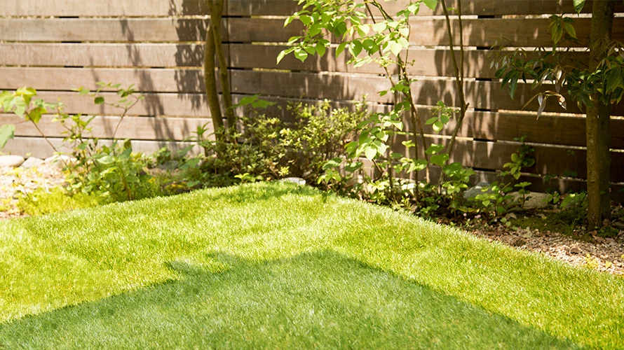 アースカラーが持つ自然の風合い
