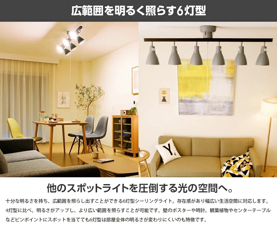 広範囲を明るく照らす6灯型