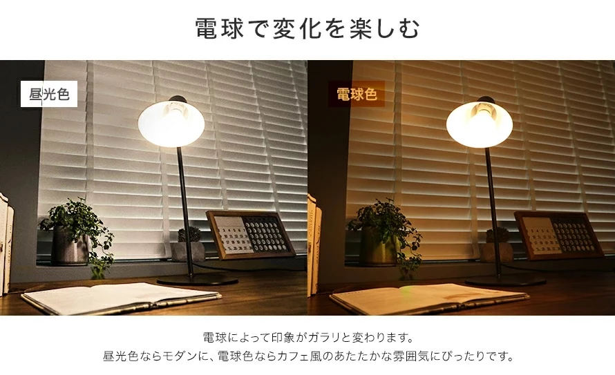 電球で変化を楽しむ