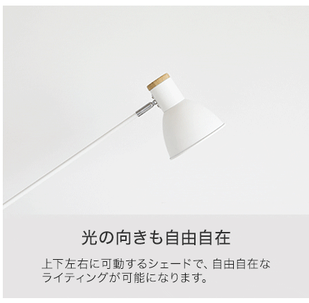 光の向きも自由自在