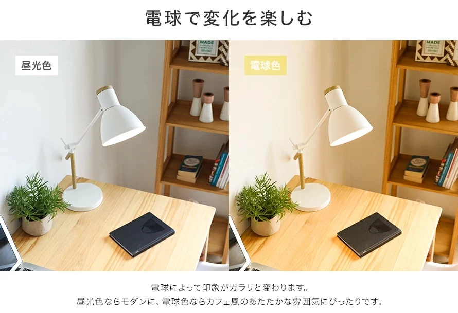 電球で変化を楽しむ
