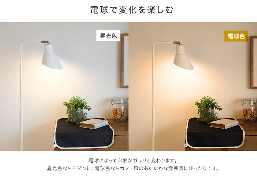 電球で変化を楽しむ