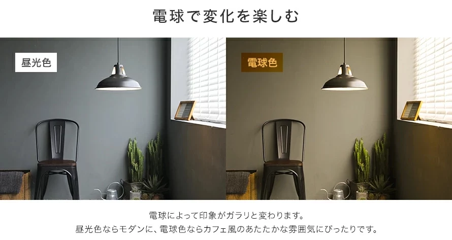 電球で変化を楽しむ