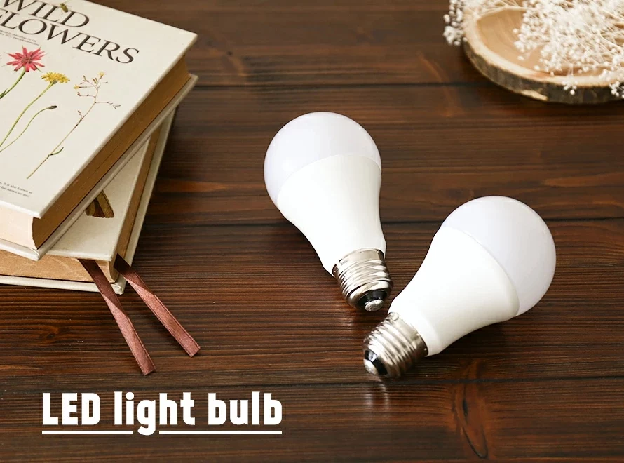 LED light bulb