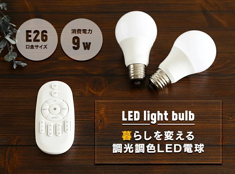 LED light bulb