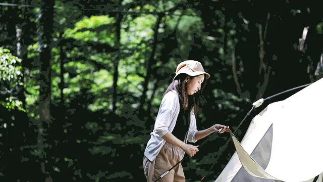 ビギナーでも簡単な2STEPセットアップ