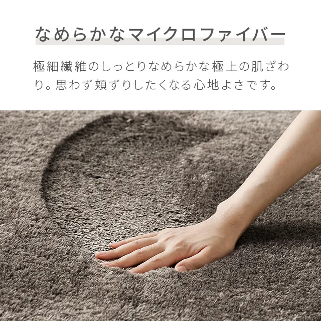 シャギーラグ 長方形 200×250cm 洗える 防音 防ダニ 抗菌防臭 滑り止め