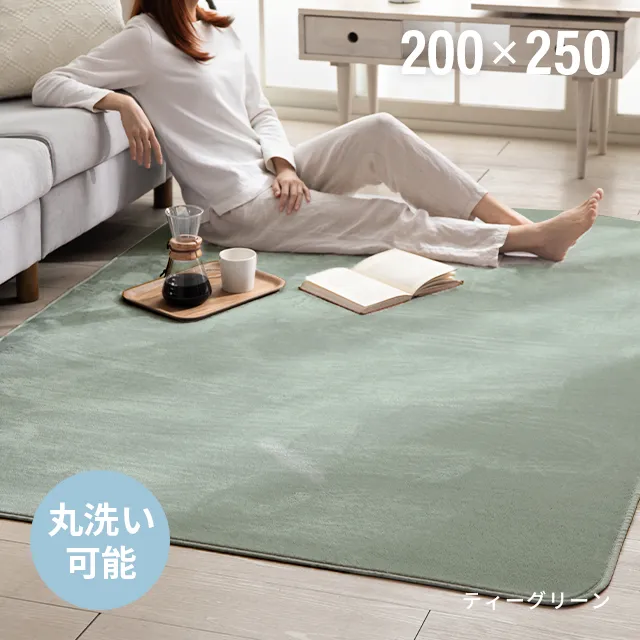 フランネルラグ 200×250cm｜モダンデコ公式｜インテリア・家具の総合通販