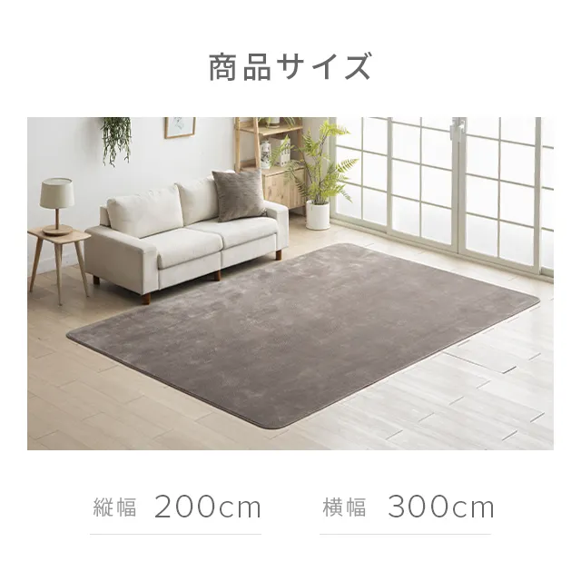 フランネルラグ 200×300cm｜モダンデコ公式｜インテリア・家具の総合通販