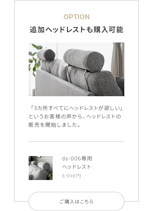 追加ヘッドレストも購入可能