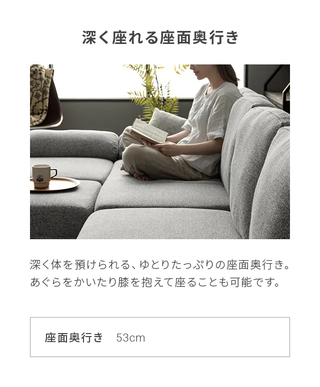 幅264cm] 4人掛けカウチソファ L字 最大6人掛け ビッグサイズ ソファ