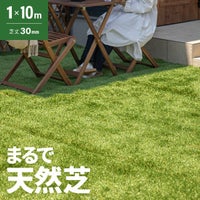 リアル人工芝 芝丈30mm 1×10m（自然な見た目を追求・U字ピン付属）