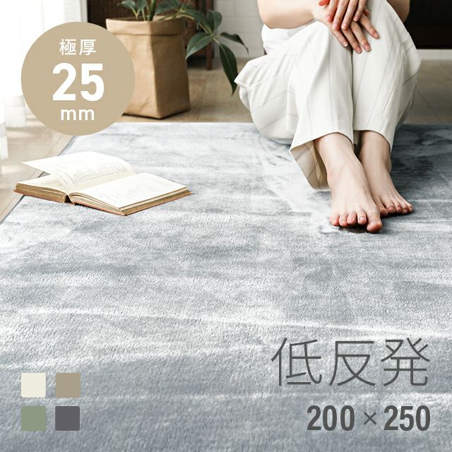 低反発ラグ 極厚タイプ 200×250cm｜モダンデコ公式｜インテリア・家具