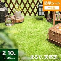 リアル人工芝 防草シート一体型タイプ 芝丈35mm 2×10m（自然な見た目追求・U字ピン付）
